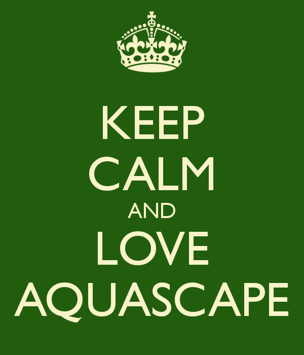 keep-calm-and-love-aquascape1_zps13e5419