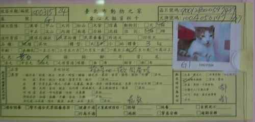 圖檔