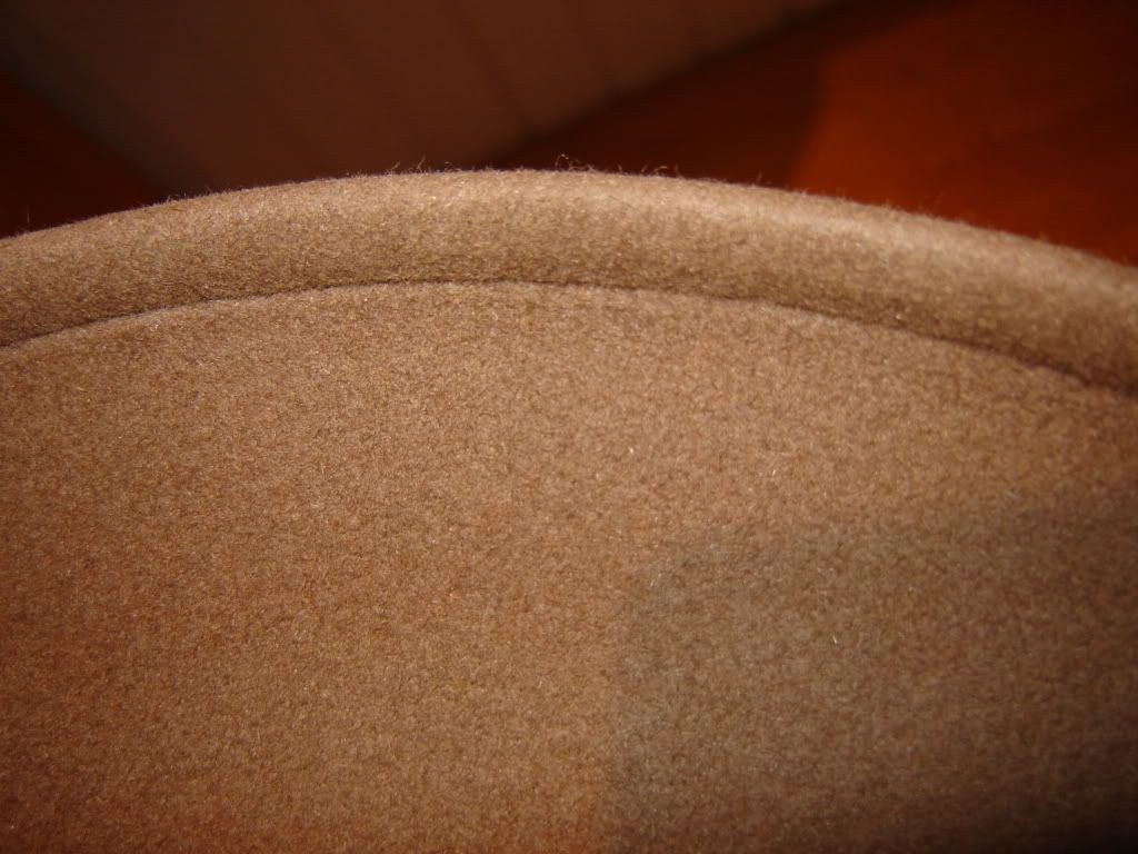 DSC07341.jpg