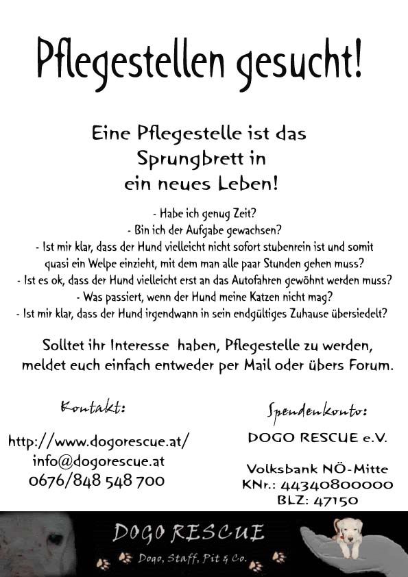 pflegestellengesuchtnuh8kq.jpg