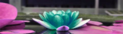 lotus Pictures, Images and Photos