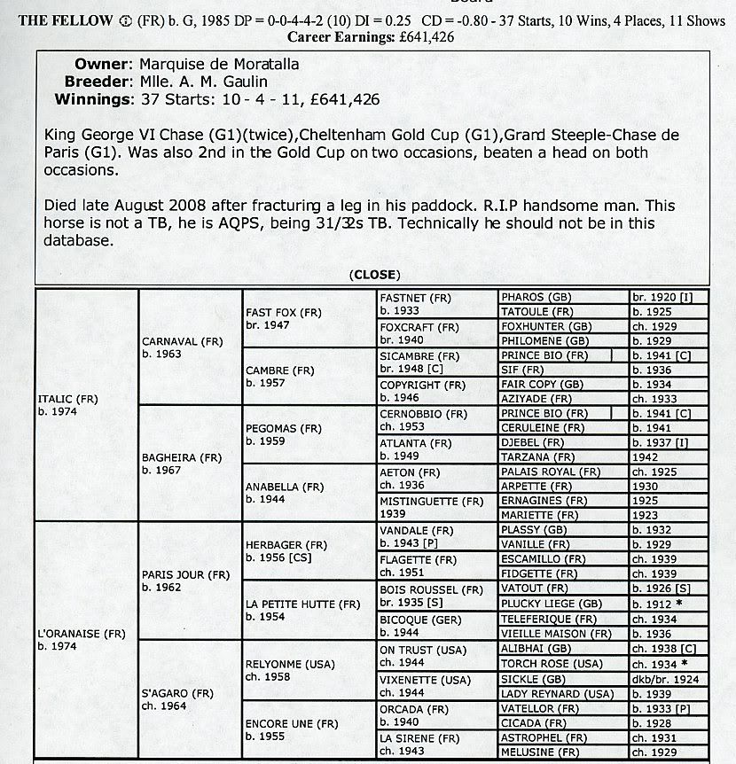 19-TheFellowpedigree339.jpg