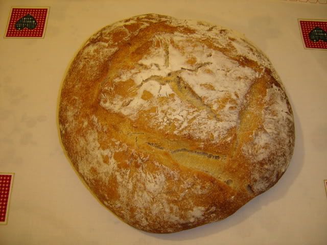 DSC05710.jpg