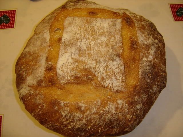 DSC05711.jpg