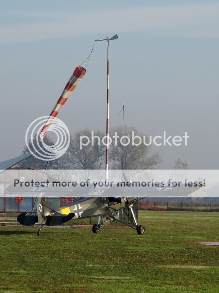 Storch_1