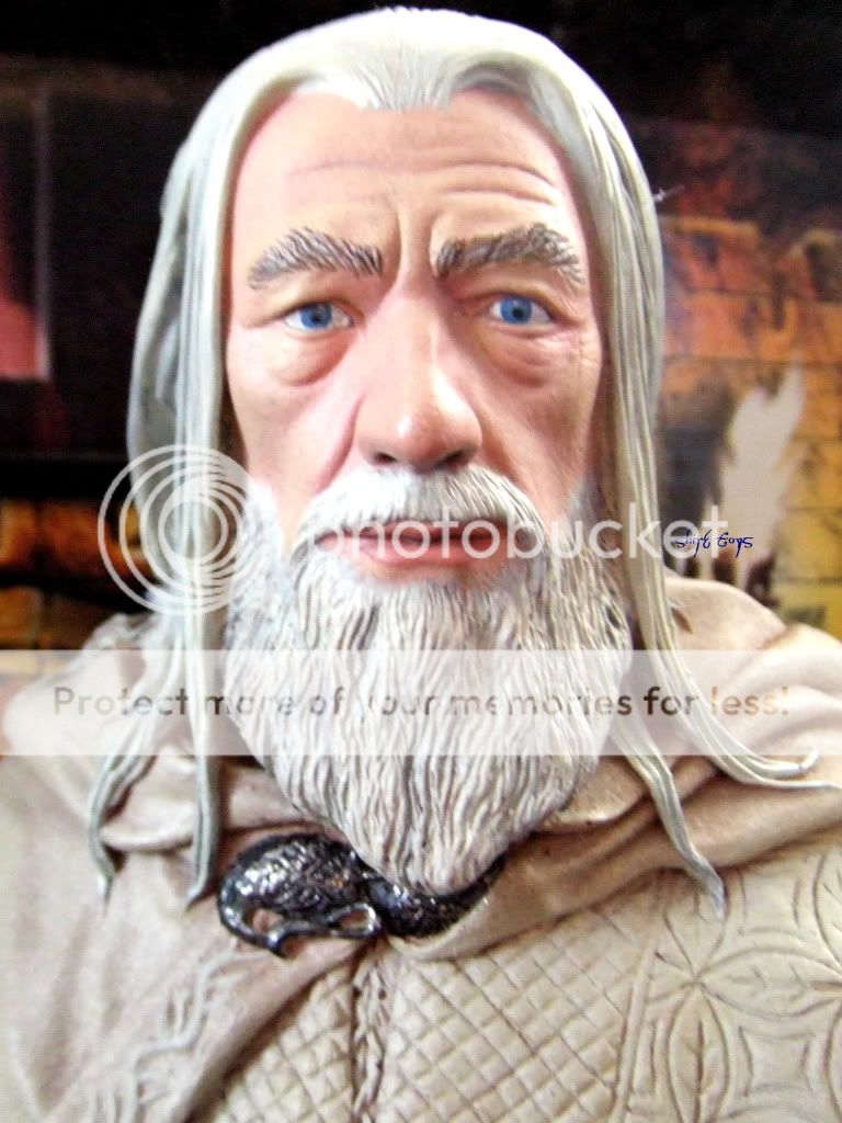 lotr fans as the best likeness of gandalf ian mckellen over all other